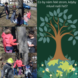 Co by nám stromy řekly